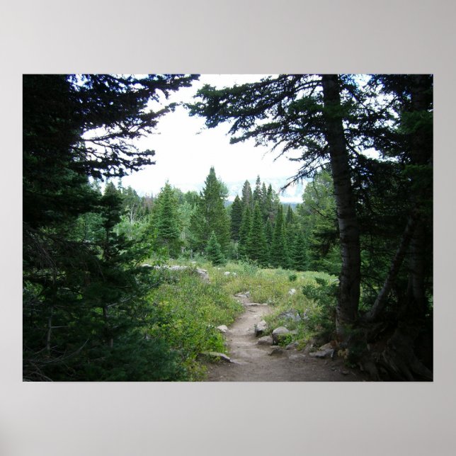 Poster Grand Teton Trail (Frente)