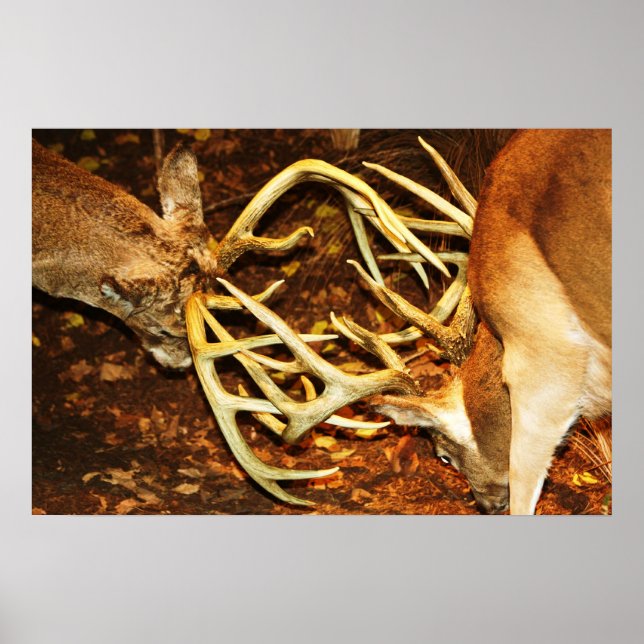 Pôster Grande Batalha de Bucks (Frente)