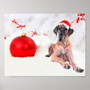 Poster Grande Cachorro Dane Chapéu Feliz Natal Ornamento 