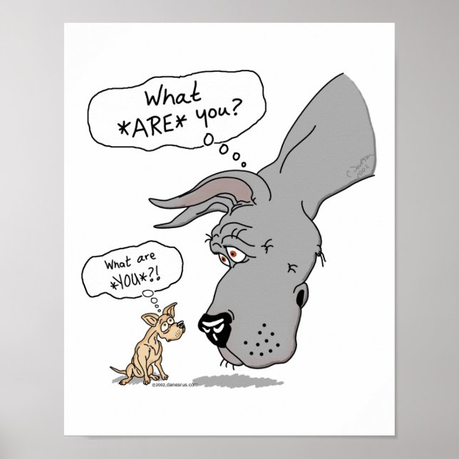 Pôster Grande Dane e Chihuahua Azul (Frente)