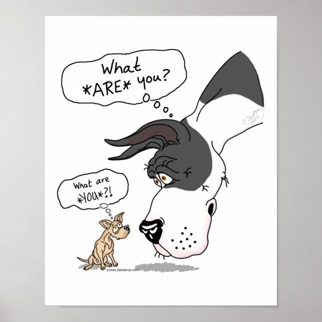 Pôster Grande Dane e Chihuahua Mantle (Frente)