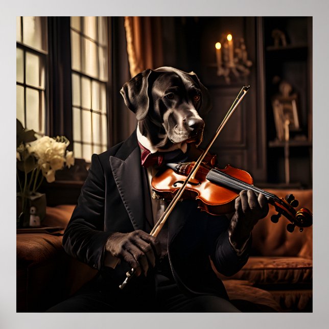 Poster Grande Dane Jogando Violin Vintage Retrato (Frente)