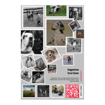 Grande Dane Puppy para vender