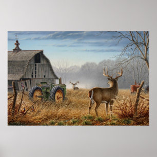 Poster Grande Deer Da Buck Mostra Na Fazenda