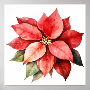 Poster Grande Flor de Natal Vermelho