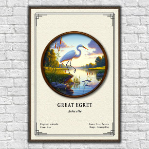 Poster Grande Garça Série de Zoologia