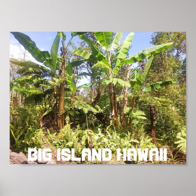 POSTER GRANDE ILHA HAWAII BANANA (Frente)