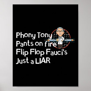 Poster Grande Pequena Mentira Fogo Fauci Anti Máscara Pre
