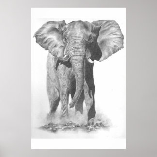 Pôster Grande ruim e perigoso saber