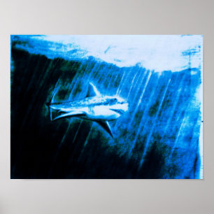 Poster Grande tubarão branco