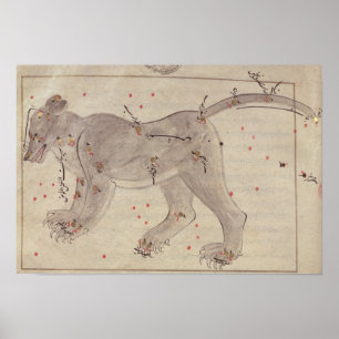 Pôster Grande urso, do livro das estrelas após o EL