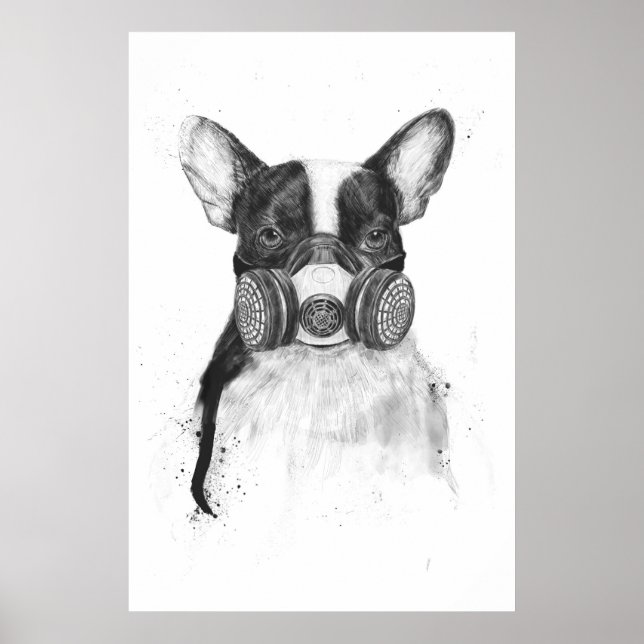 Pôster Grande vida na cidade (Frente)