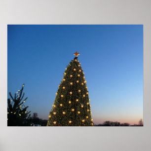 Pôster Grandes e Pequenas Árvores de Natal I Holiday Suns