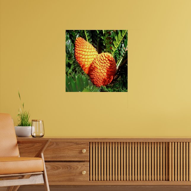Poster Grandes Pods De Sementes Laranja Africanas, (Sala de Estar 2)