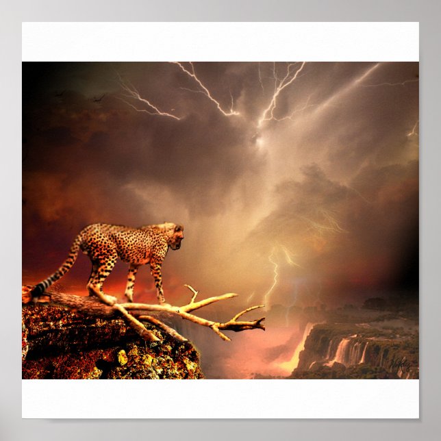 POSTER GRANG CAT (Frente)