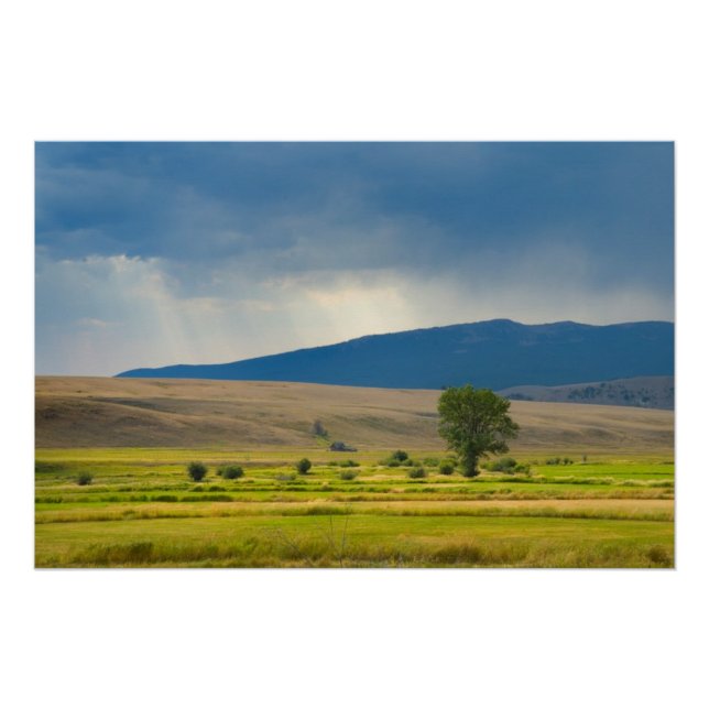 Pôster Granite County Montana (Frente)