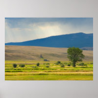 Granite County Montana