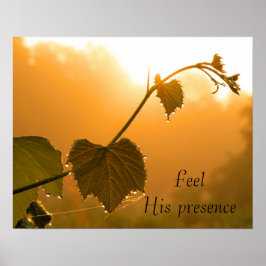 Pôster Grapevine e Dewdrops no Sunrise-Inspiracional