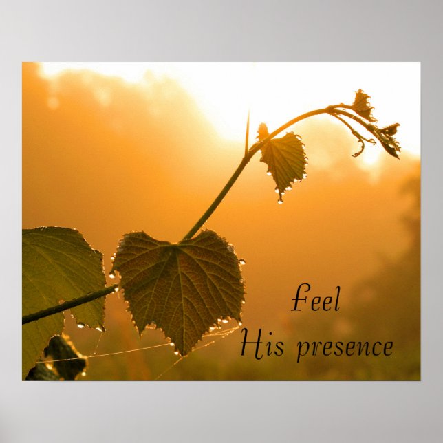 Pôster Grapevine e Dewdrops no Sunrise-Inspiracional (Frente)