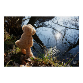 Pôster Grappige beer die ondeugend plast.