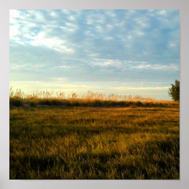 Poster Grass (Frente)