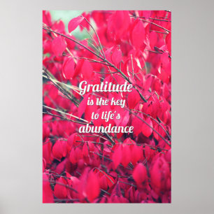 Pôster Gratitude