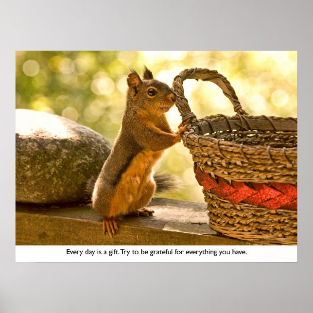 Poster Gratitude Squirrel (Frente)