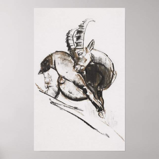 Poster Grattarsi (Frente)