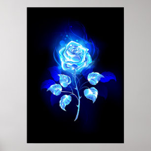 Poster Gravação de Rosa Azul
