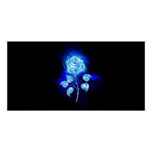 Pôster Gravação de Rosa Azul