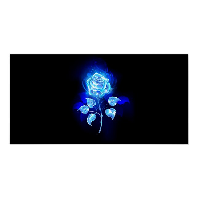 Pôster Gravação de Rosa Azul (Frente)