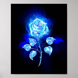 Poster Gravação de Rosa Azul