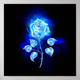 Poster Gravação de Rosa Azul