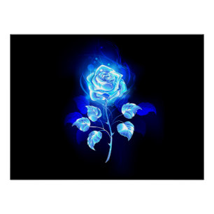 Pôster Gravação de Rosa Azul