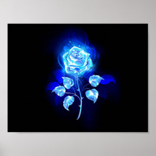 Poster Gravação de Rosa Azul