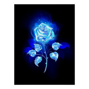 Pôster Gravação de Rosa Azul