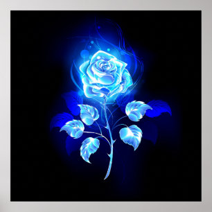 Poster Gravação de Rosa Azul