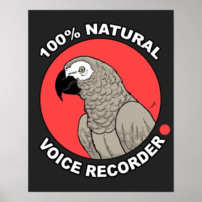 Poster Gravador de Voz Natural (Frente)