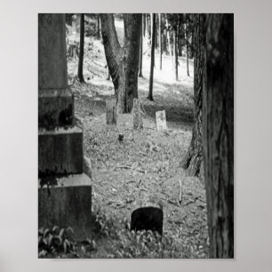 Pôster Grave Esquecido