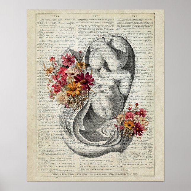 Poster Gravidez OB/GYN Wall Art (Frente)
