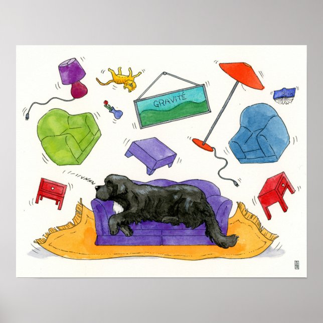 Poster Gravity - Gravité (Frente)