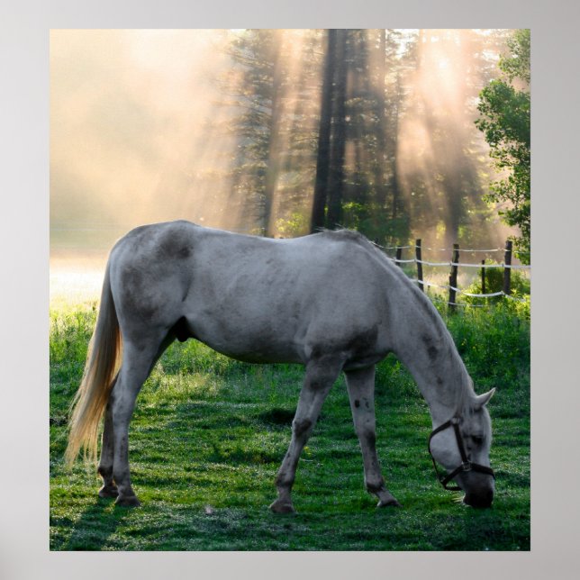 Pôster Graze incrível (Frente)