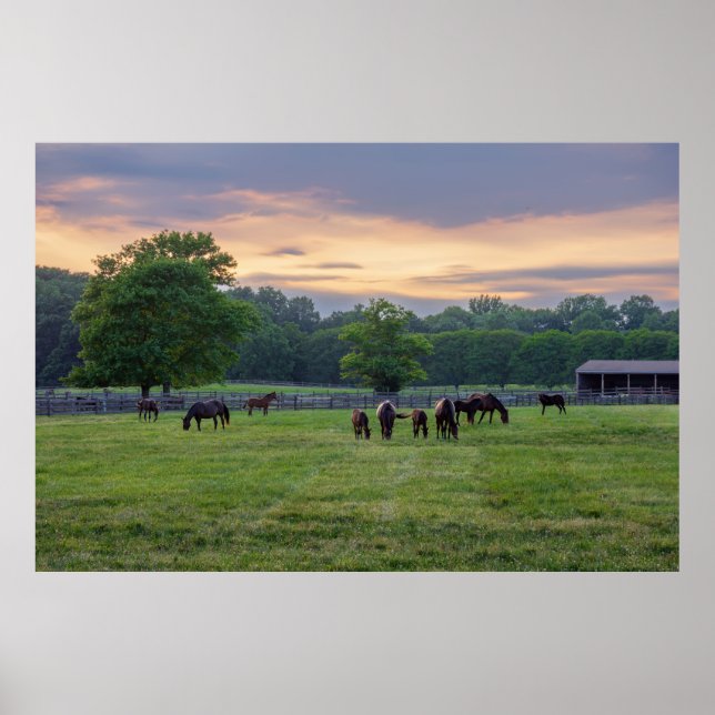 Poster Grazing Horses (Frente)