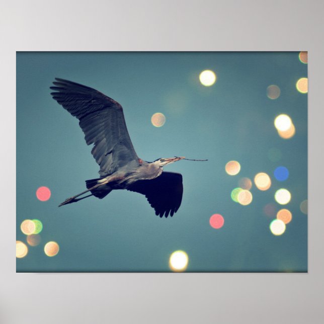 Poster Great Blue Heron In Flight  (Frente)