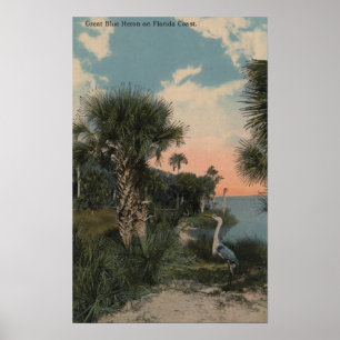 Poster Great Blue Heron on Florida Coast Beach