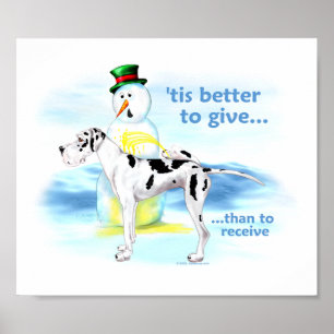 Pôster Great Dane BTG Harlequin UC