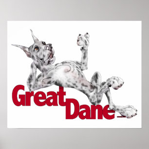 Pôster Great Dane Laid Back Merle