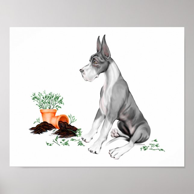 Pôster Great Dane Naughty Pup Mantle (Frente)
