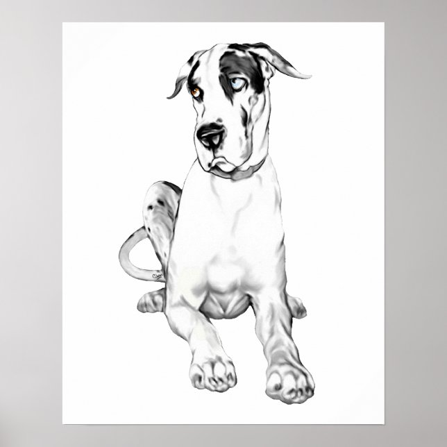 Poster Great Dane Pouting Harlequin (Frente)