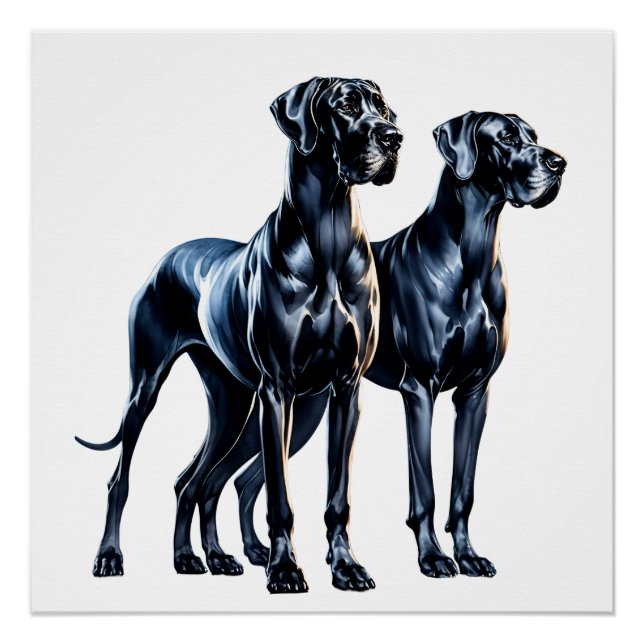Pôster Great Danes Watercolor (Frente)